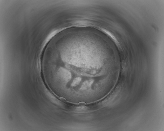 X0000112091467200908041440
