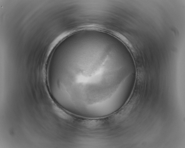 X0000112091474200908041440