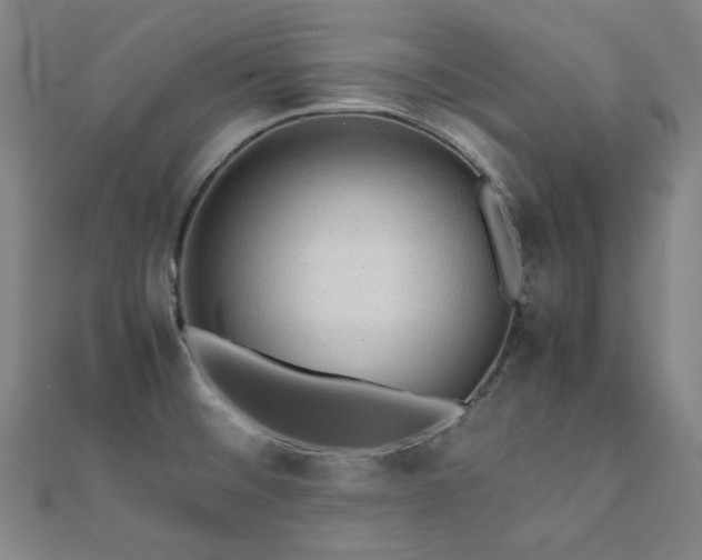 X0000112091476200908041440