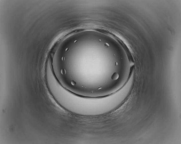 X0000112091477200908041440