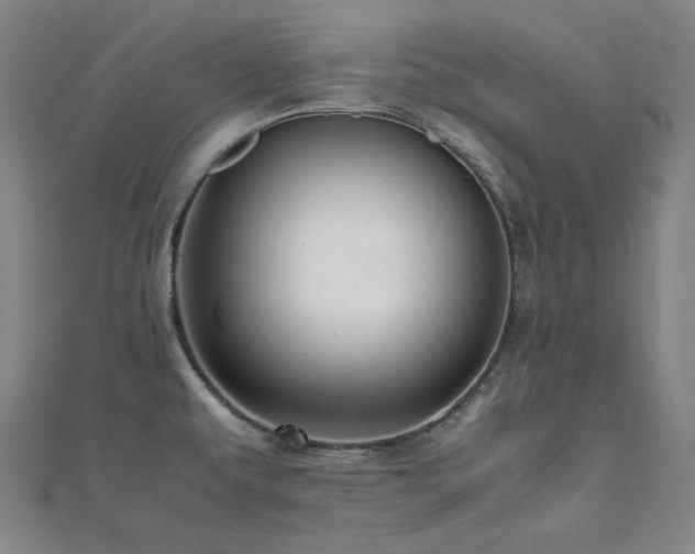 X0000112091479200908041440