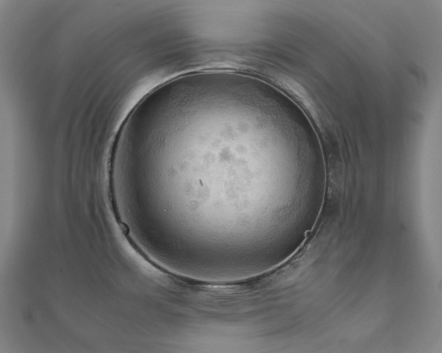X0000112091483200908041440