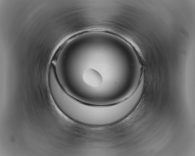 X0000112091484200908041440