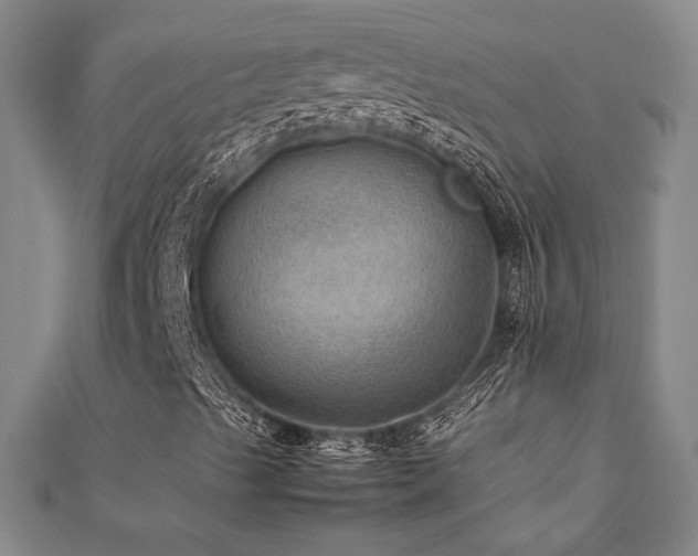 X0000112091489200908041439