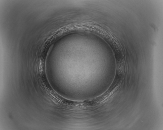X0000112091490200908041439