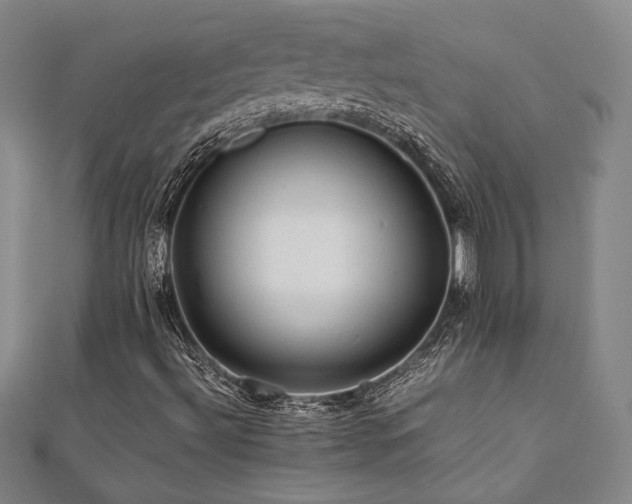X0000112091492200908041439