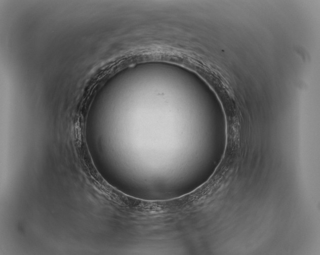 X0000112091493200908041439