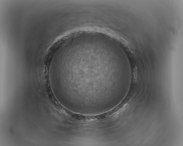 X0000112091494200908041439