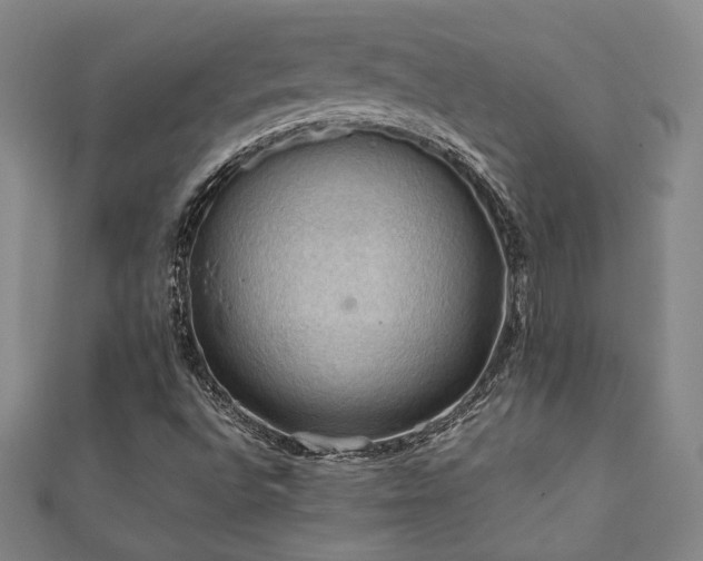 X0000112091496200908041439