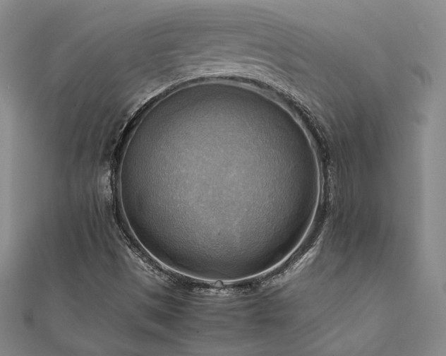 X0000112091497200908041439