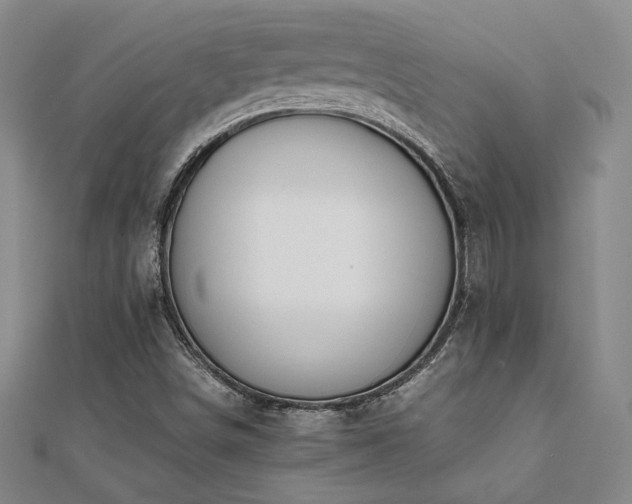 X0000112091498200908041439