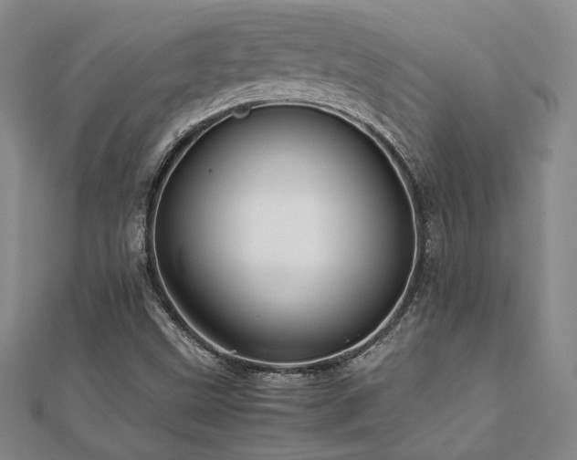 X0000112091499200908041439