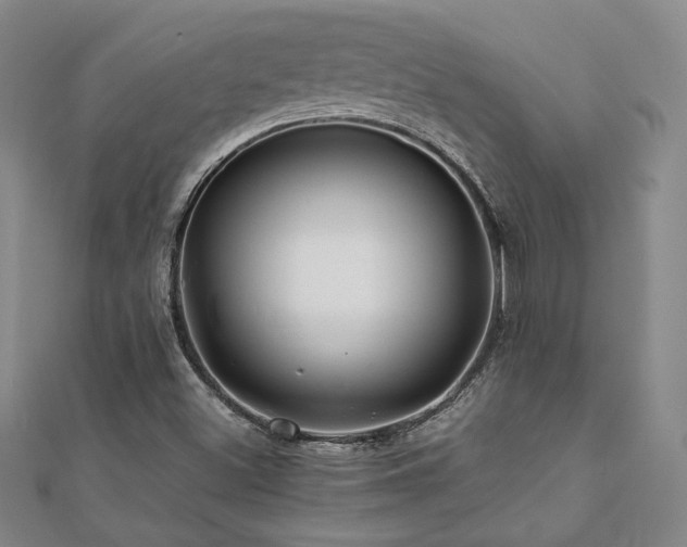 X0000112091500200908041439