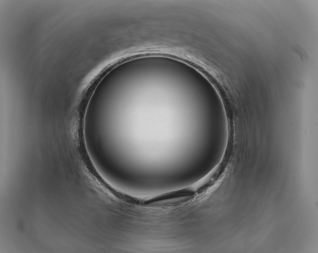 X0000112091502200908041439