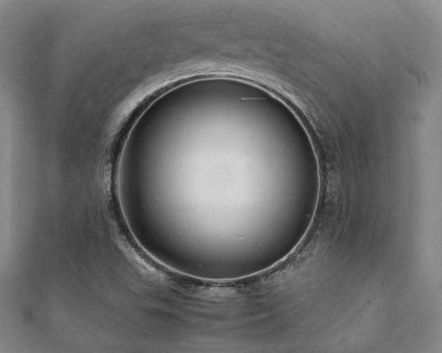 X0000112091503200908041439