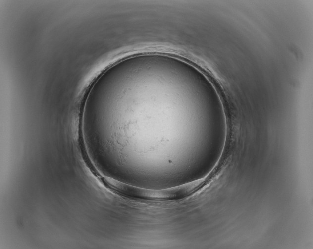 X0000112091504200908041439