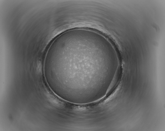 X0000112091505200908041439