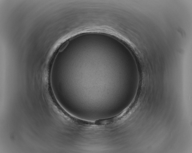 X0000112091506200908041439