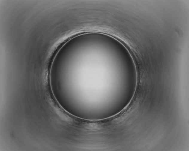 X0000112091507200908041440