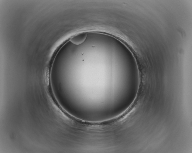X0000112091510200908041440