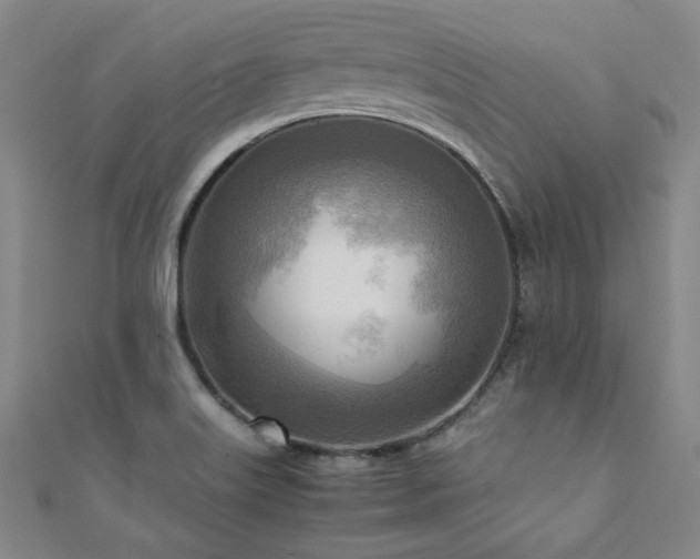 X0000112091515200908041440
