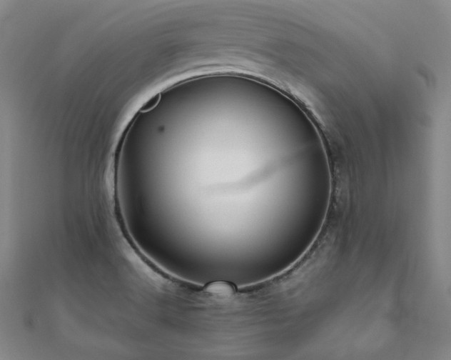 X0000112091516200908041440
