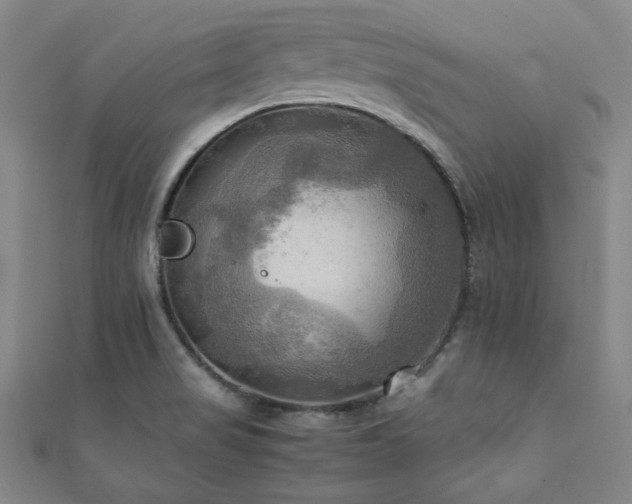 X0000112091517200908041440