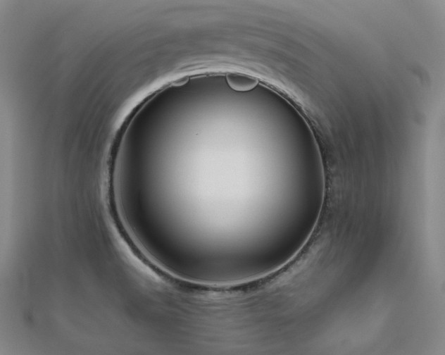 X0000112091518200908041440