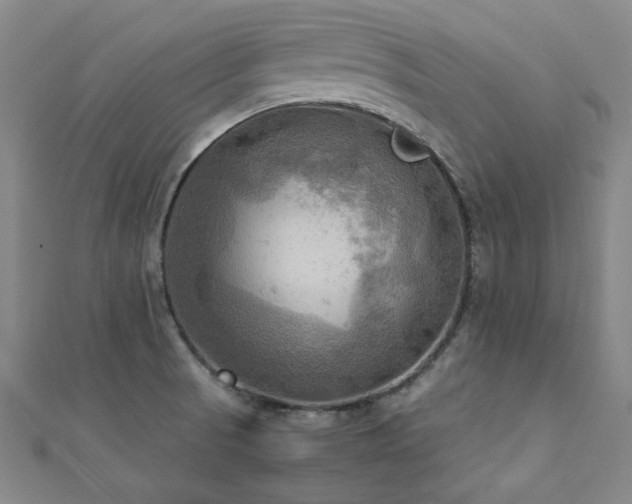 X0000112091521200908041440