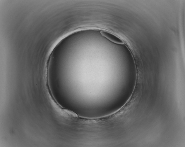 X0000112091524200908041440