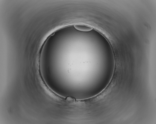 X0000112091526200908041440