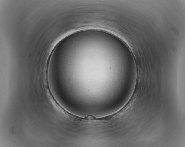 X0000112091534200908041440
