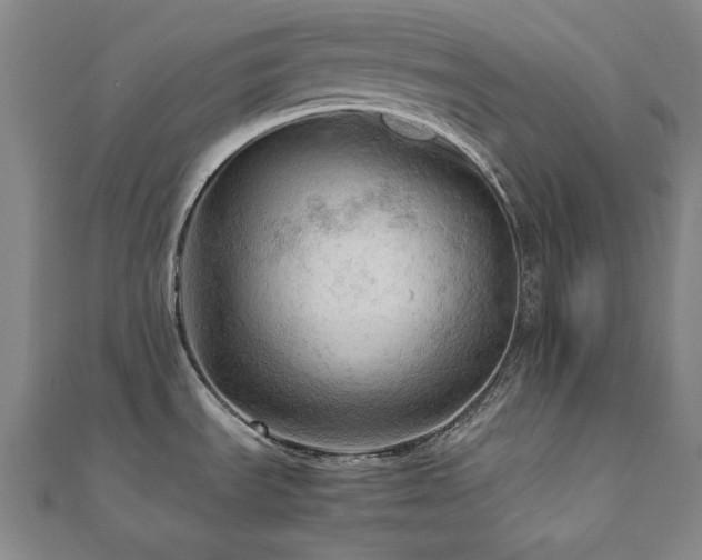 X0000112091535200908041440