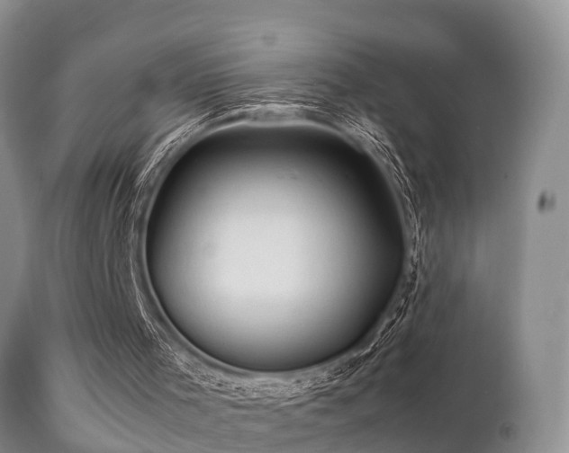 X0000112090001200908111405