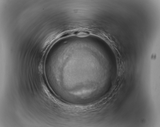 X0000112090002200908111405