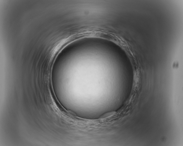 X0000112090003200908111405