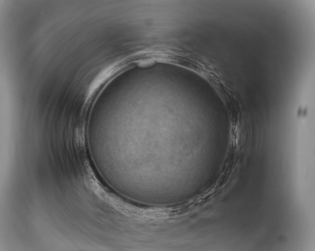 X0000112090004200908111405