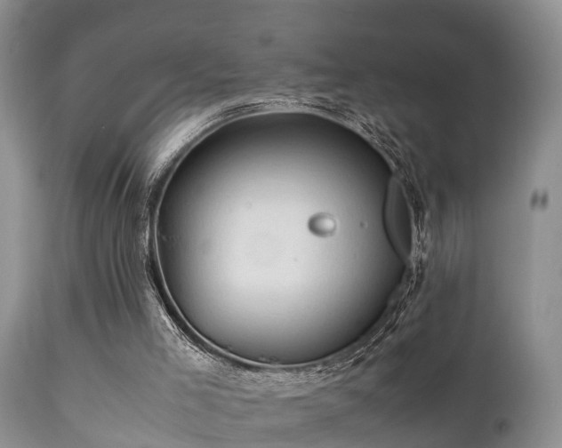 X0000112090005200908111405