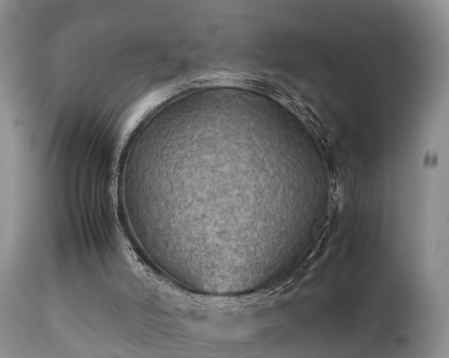 X0000112090006200908111405