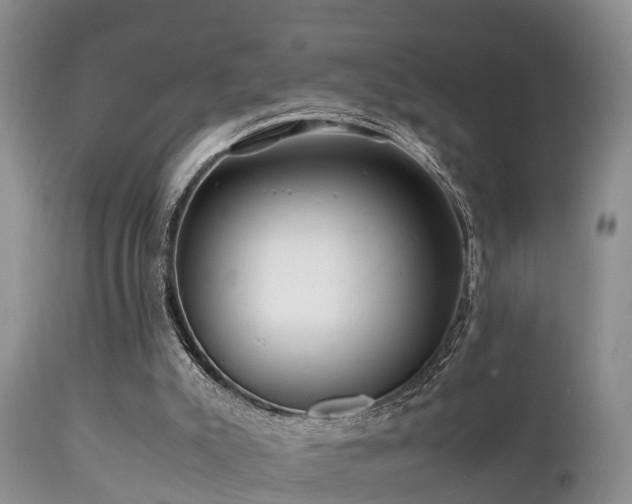 X0000112090007200908111405