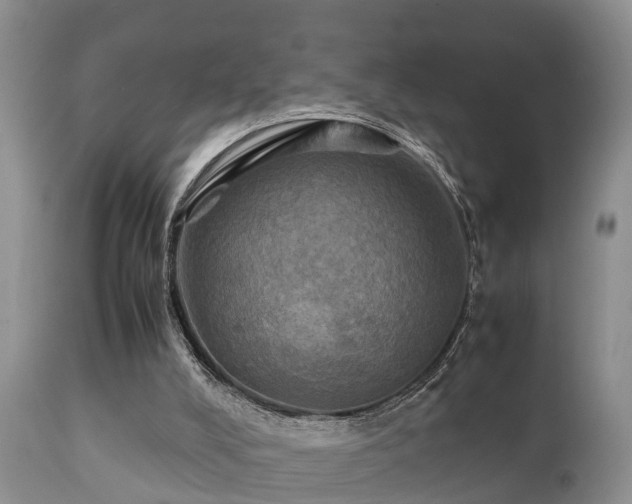 X0000112090008200908111405