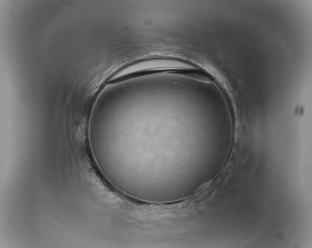 X0000112090009200908111405