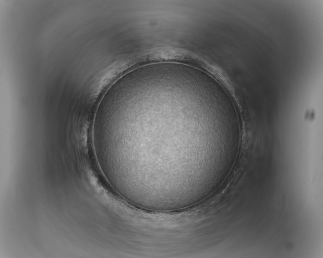 X0000112090010200908111405