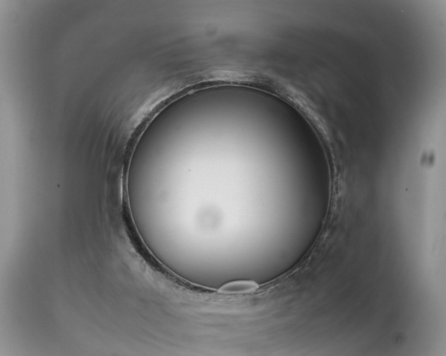 X0000112090011200908111405