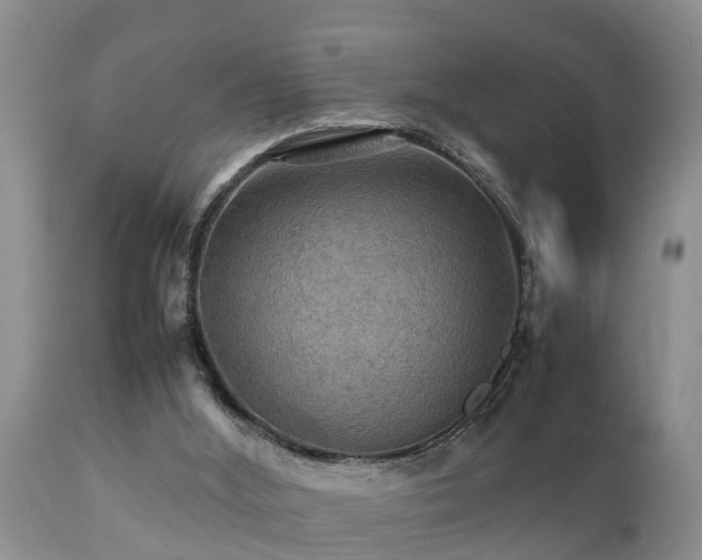 X0000112090012200908111405