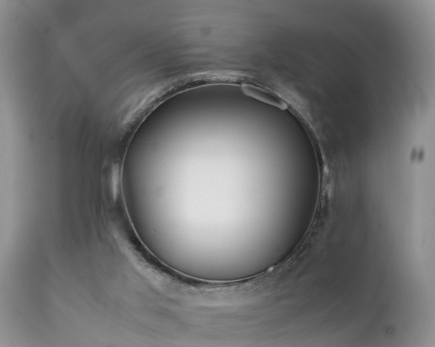 X0000112090013200908111405