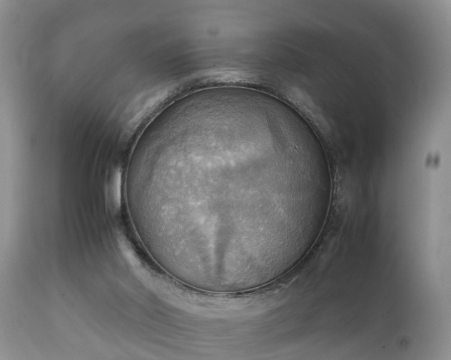 X0000112090014200908111405