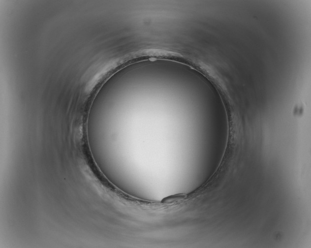 X0000112090015200908111405