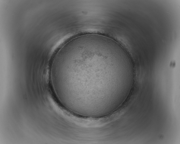 X0000112090016200908111405