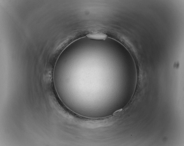 X0000112090017200908111405